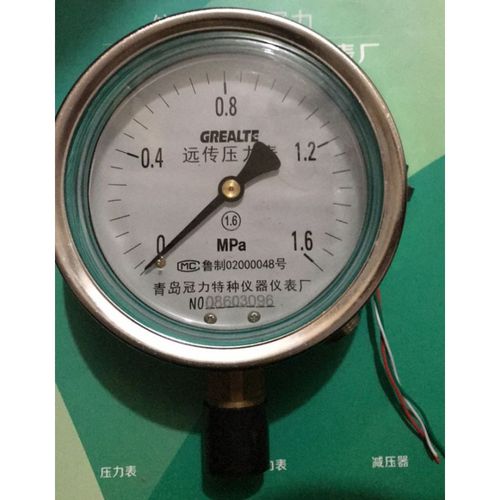青岛冠力特种仪器仪表厂ytnz100压力表 0-250mpa